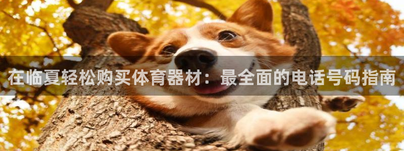 尊龙人生就是博网站下载