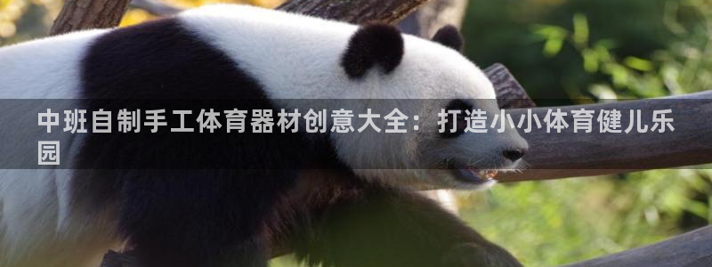 旧版尊龙人生就是博下载：中班自制手工体育器材创意大全