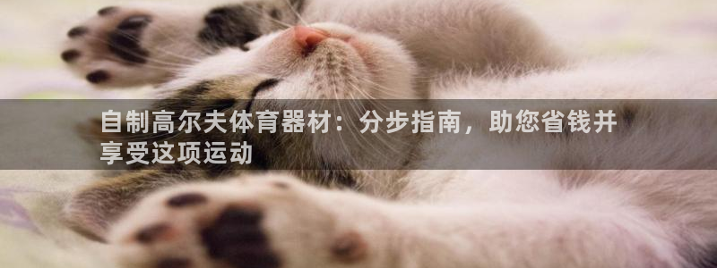 尊龙集团有限公司是国企吗：自制高尔夫体育器材：分步指
