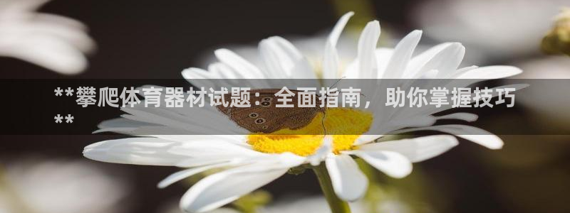 d88尊龙官方网：**攀爬体育器材试题：全面指南，助