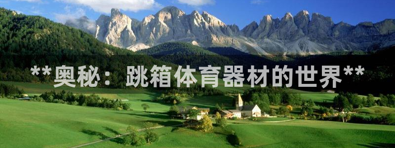尊龙凯时城游戏官网：**奥秘：跳箱体育器材的世界**