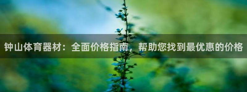 尊龙王t400
