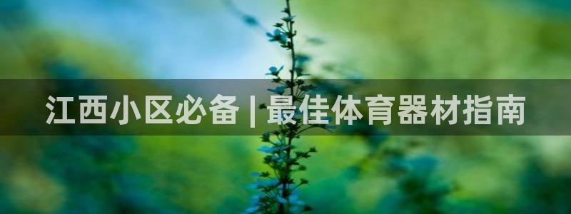 尊龙凯时输钱的原因：江西小区必备 | 最佳体育器材指