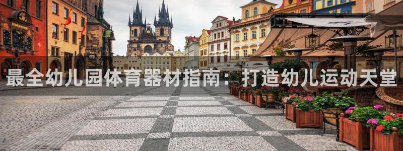 尊龙AG旗舰店：最全幼儿园体育器材指南：打造幼儿运动