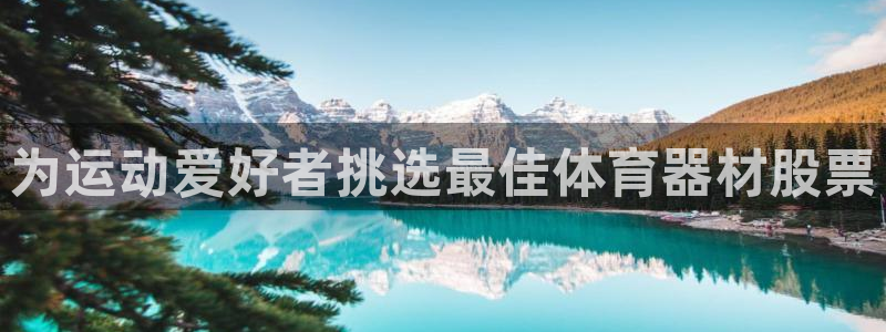 尊龙人生就是博手机版下载：为运动爱好者挑选最佳体育器