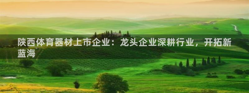 尊龙会ktv价格：陕西体育器材上市企业：龙头企业深耕