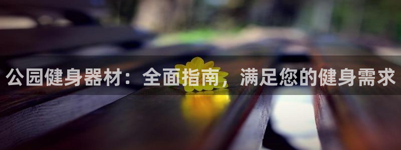 尊龙新版app首页：公园健身器材：全面指南，满足您的