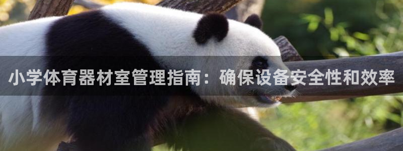 尊龙凯时是哪个国家的：小学体育器材室管理指南：确保设