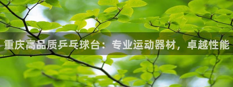 凯时效果怎么样：重庆高品质乒乓球台：专业运动器材，卓