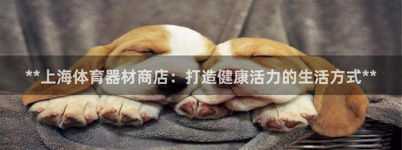 尊龙凯时人生就是搏!平台：**上海体育器材商店：打造