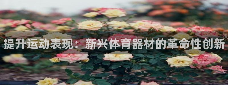 尊龙凯时下载人生就是博：提升运动表现：新兴体育器材的