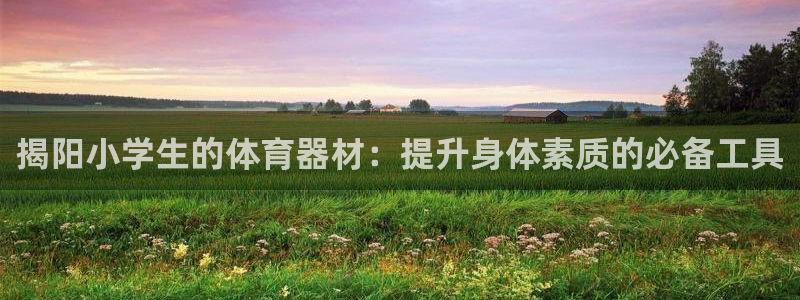 尊龙d88用现推选ag发财网：揭阳小学生的体育器材：
