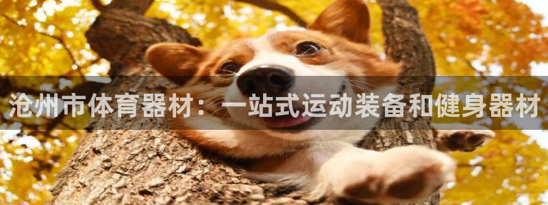 尊龙凯时人生就是博·(中国)官网最新：沧州市体育器材