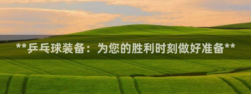 尊龙凯时官方网站下载：**乒乓球装备：为您的胜利时刻