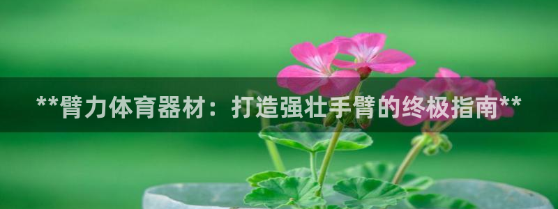尊龙物流怎么样：**臂力体育器材：打造强壮手臂的终极