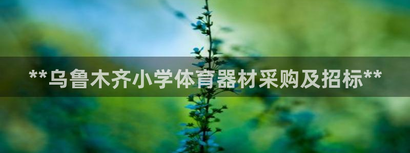 尊龙凯时网站首页手机登录：**乌鲁木齐小学体育器材采