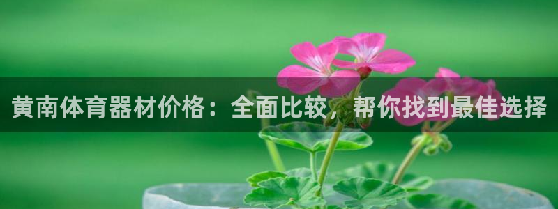 尊龙凯时ag旗舰厅试玩：黄南体育器材价格：全面比较，