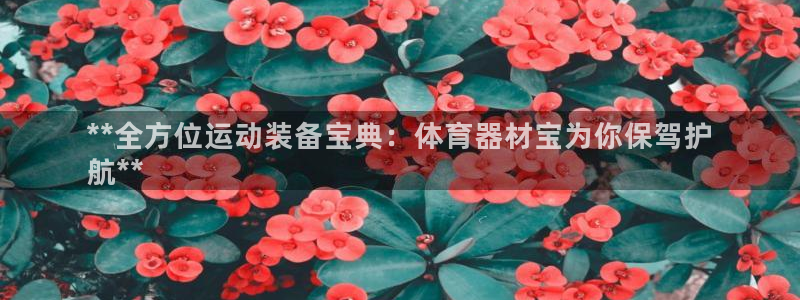 尊龙凯时代理能提出来不：**全方位运动装备宝典：体育