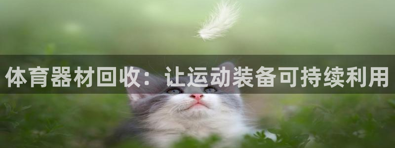 尊龙品牌怎么样：体育器材回收：让运动装备可持续利用
