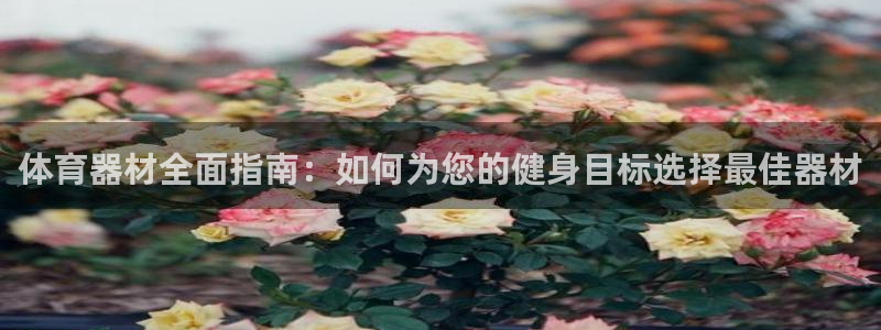 尊龙凯时论坛：体育器材全面指南：如何为您的健身目标选