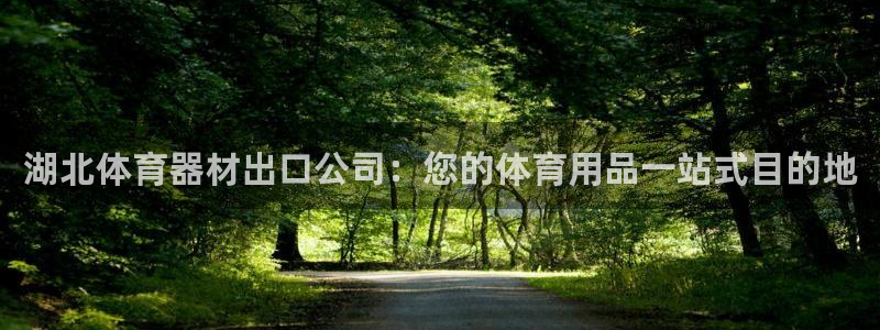 尊龙凯时和九游会哪个平台好一点：湖北体育器材出口公司