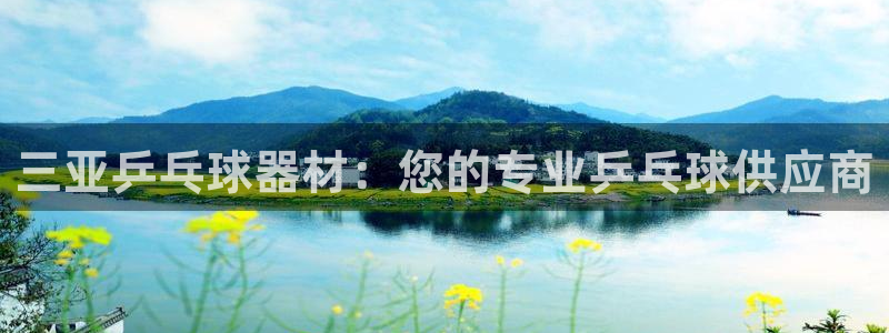 尊龙凯时出款：三亚乒乓球器材：您的专业乒乓球供应商