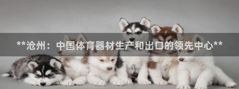 尊龙最近一次露面：**沧州：中国体育器材生产和出口的