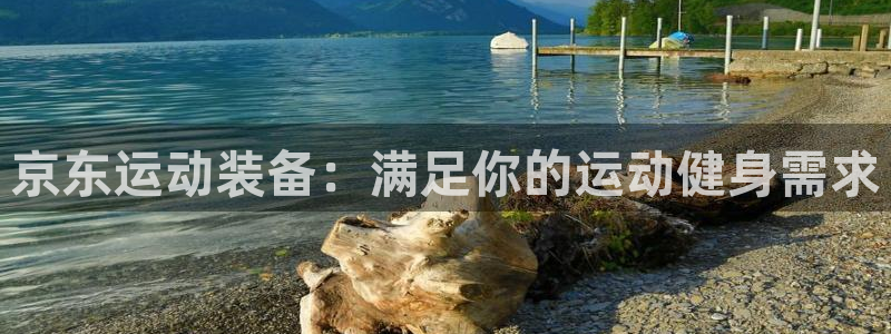 凯时尊龙平台登录：京东运动装备：满足你的运动健身需求