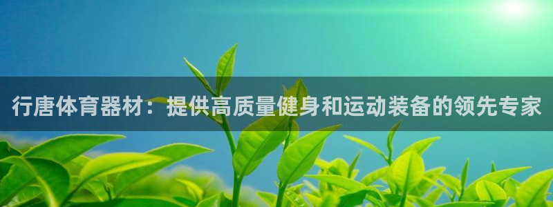 尊龙凯时和九游会哪个平台好一点：行唐体育器材：提供高