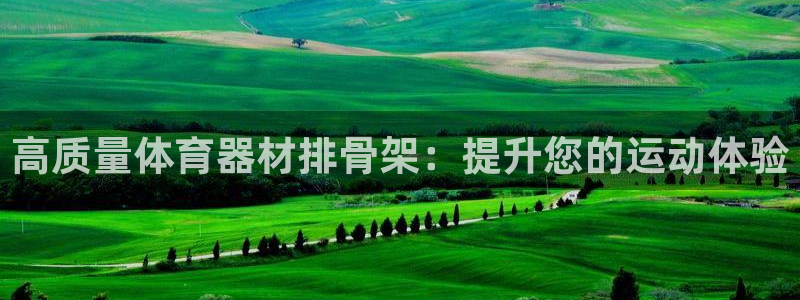 尊龙公司：高质量体育器材排骨架：提升您的运动体验