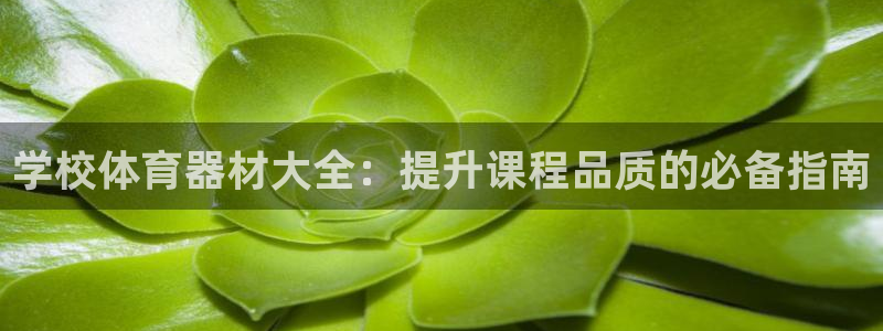 凯时ag旗舰厅网址是什么：学校体育器材大全：提升课程