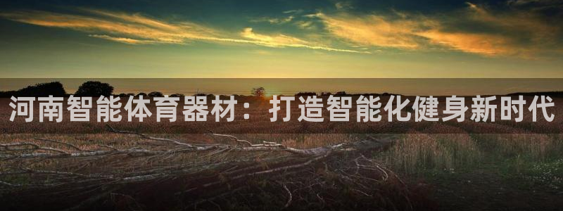 z6尊龙凯时ag旗舰厅：河南智能体育器材：打造智能化