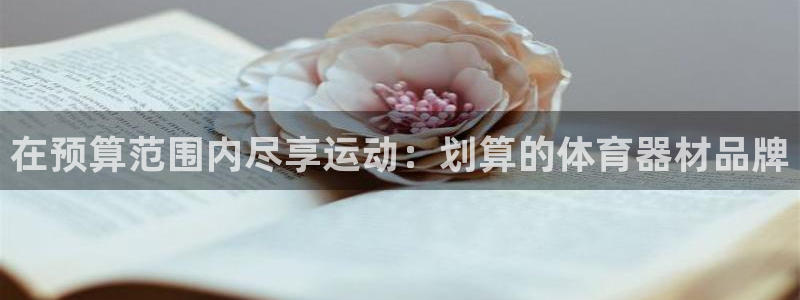 z6尊龙凯时旗舰厅首页：在预算范围内尽享运动：划算的
