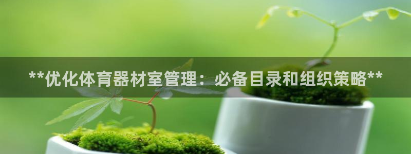 尊龙凯时登陆入口：**优化体育器材室管理：必备目录和