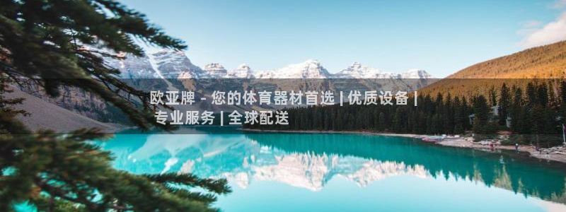 尊龙实业有限公司：欧亚牌 - 您的体育器材首选 | 
