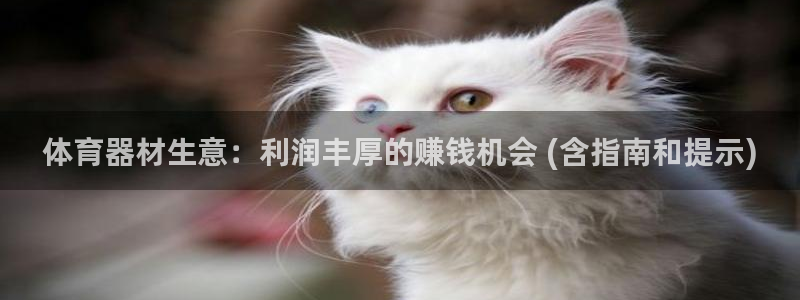 尊龙凯时人生就是搏!平台：体育器材生意：利润丰厚的赚
