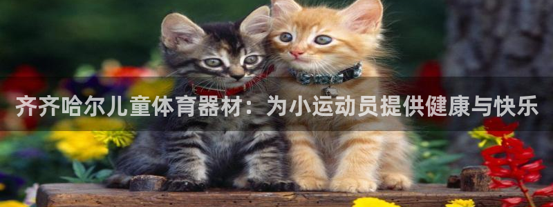 尊龙凯时公司官网：齐齐哈尔儿童体育器材：为小运动员提