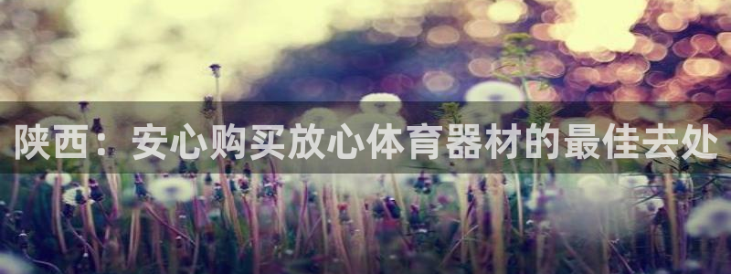 尊龙d88官网登录：陕西：安心购买放心体育器材的最佳