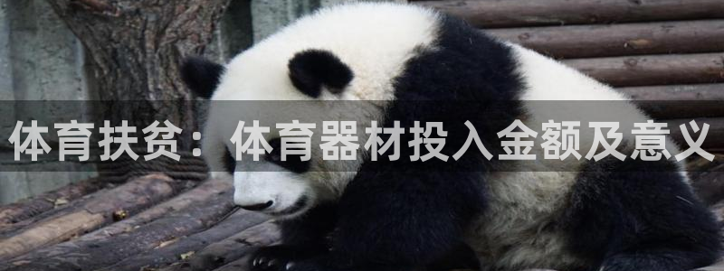 尊龙人品怎么样：体育扶贫：体育器材投入金额及意义