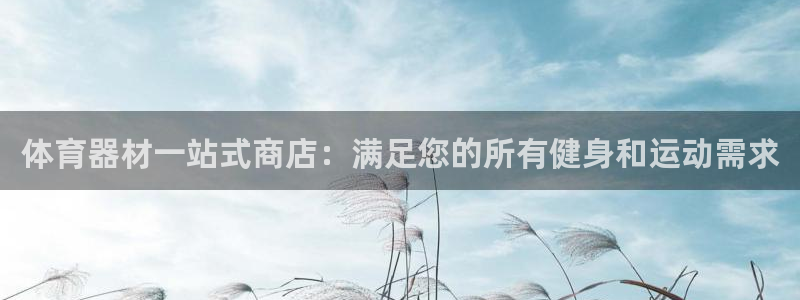 尊龙实业有限公司是正规还是仿：体育器材一站式商店：满