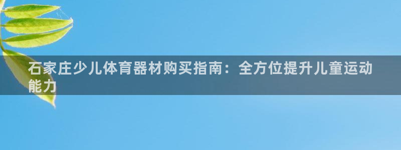尊龙人生就是博：石家庄少儿体育器材购买指南：全方位提