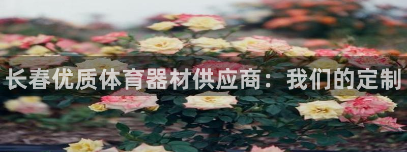 尊龙官方网址：长春优质体育器材供应商：我们的定制