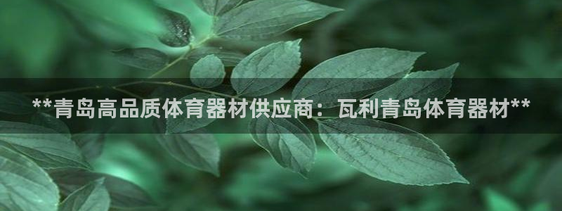 尊龙手机客户端下载：**青岛高品质体育器材供应商：瓦