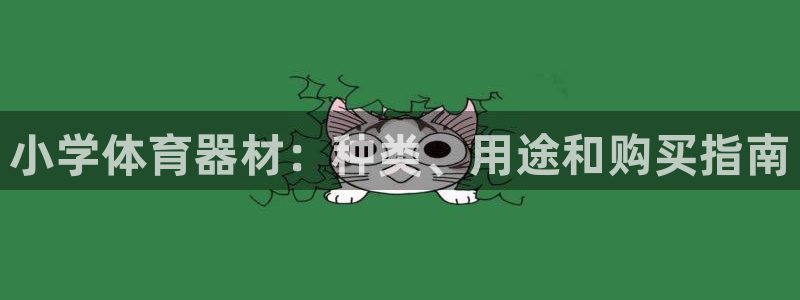 尊龙官网手：小学体育器材：种类、用途和购买指南