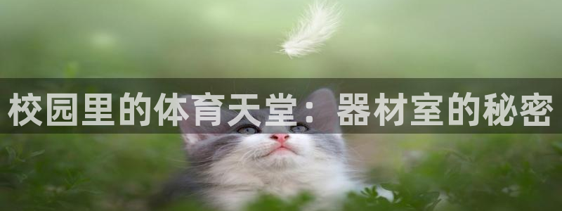 尊龙 ag：校园里的体育天堂：器材室的秘密