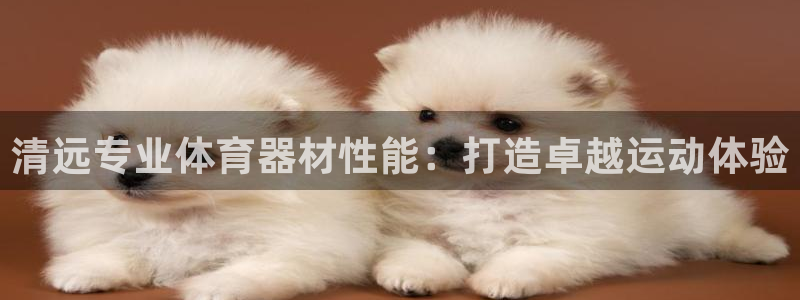 凯时国际平台有人赢吗：清远专业体育器材性能：打造卓越