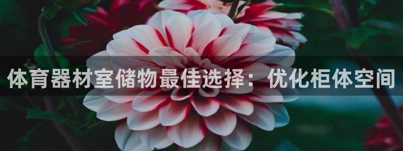 尊龙d88会员：体育器材室储物最佳选择：优化柜体空间