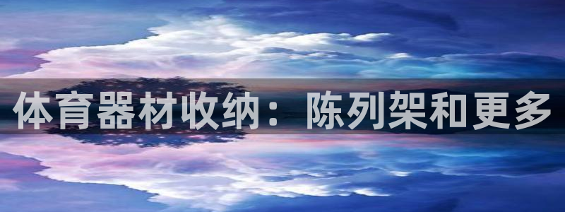 d88尊龙凯时：体育器材收纳：陈列架和更多
