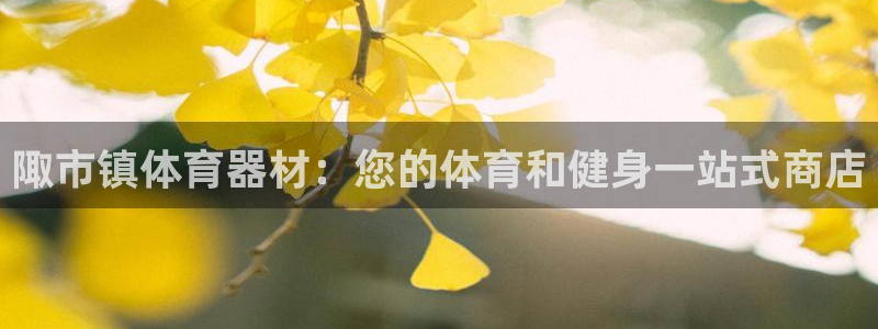 尊龙t600怎么样：陬市镇体育器材：您的体育和健身一