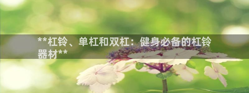 凯时kb88官方：**杠铃、单杠和双杠：健身必备的杠